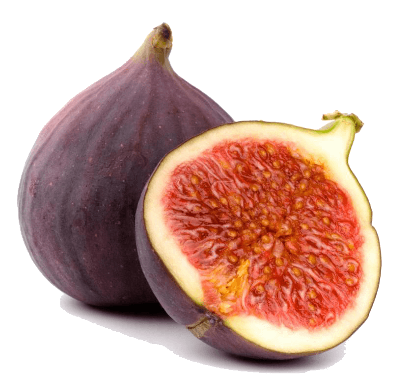 تين أسود
